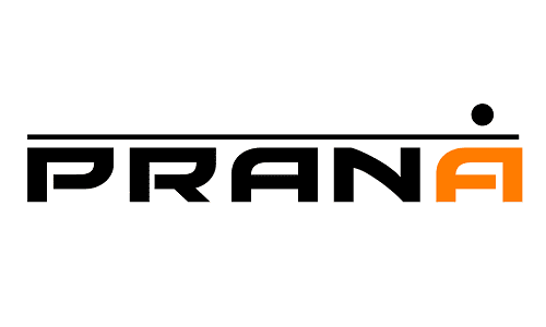 Prana_Animation_Studios_Logo_in_Vector_(Better).svg
